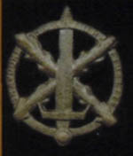 Валлонский почетный знак в бронзе